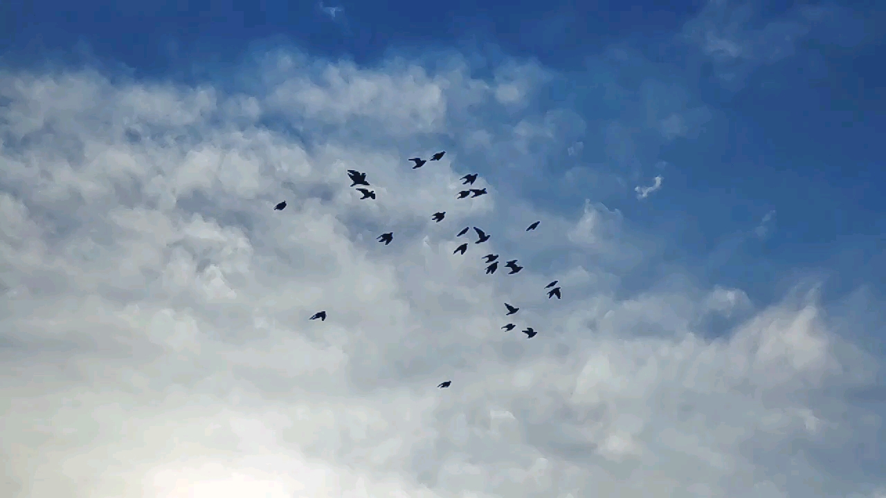 详细阅读:闪电阁(闪电阁王普) 闪电阁(闪电阁王普)